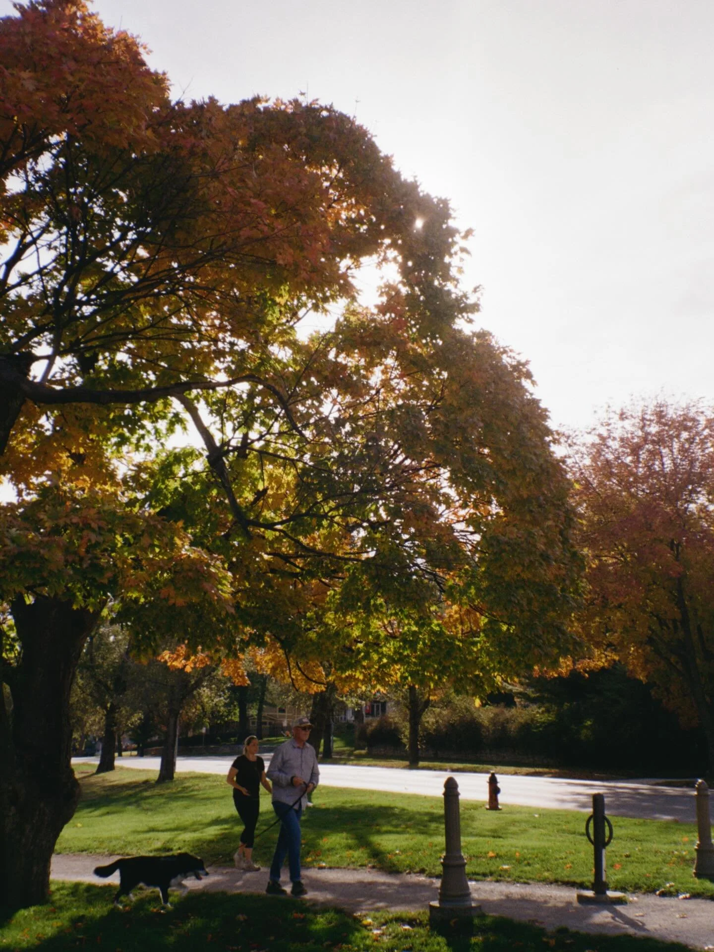 autumn in Crestwood 🍂🍁 @aixoisbistro @crestwoodshops #kodakgold200