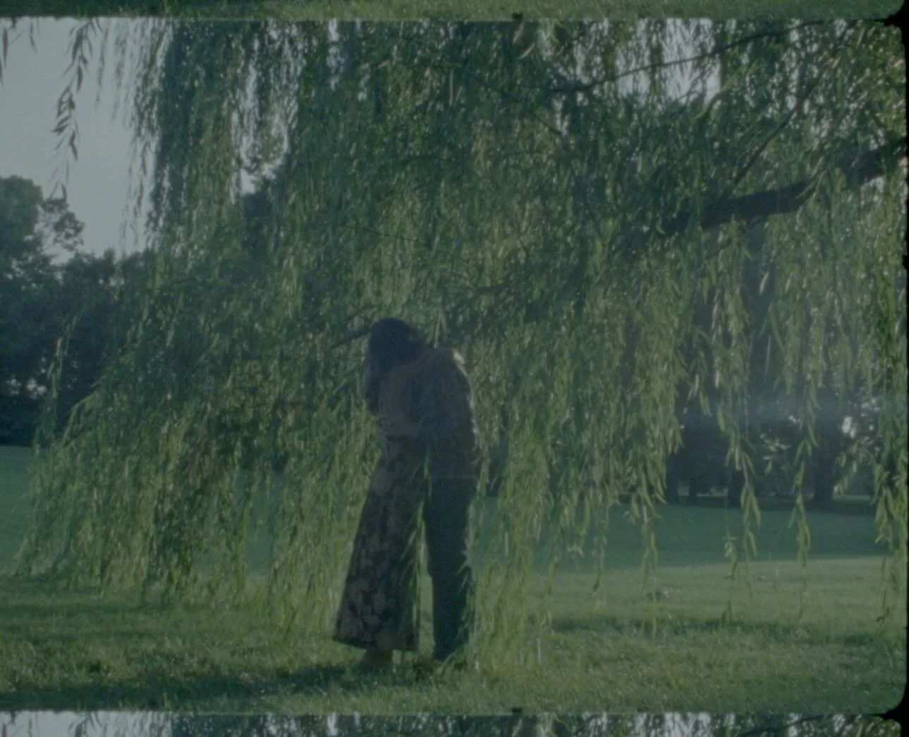 messing with color 🍃 stills on 16mm of Aiden &amp; Amanda