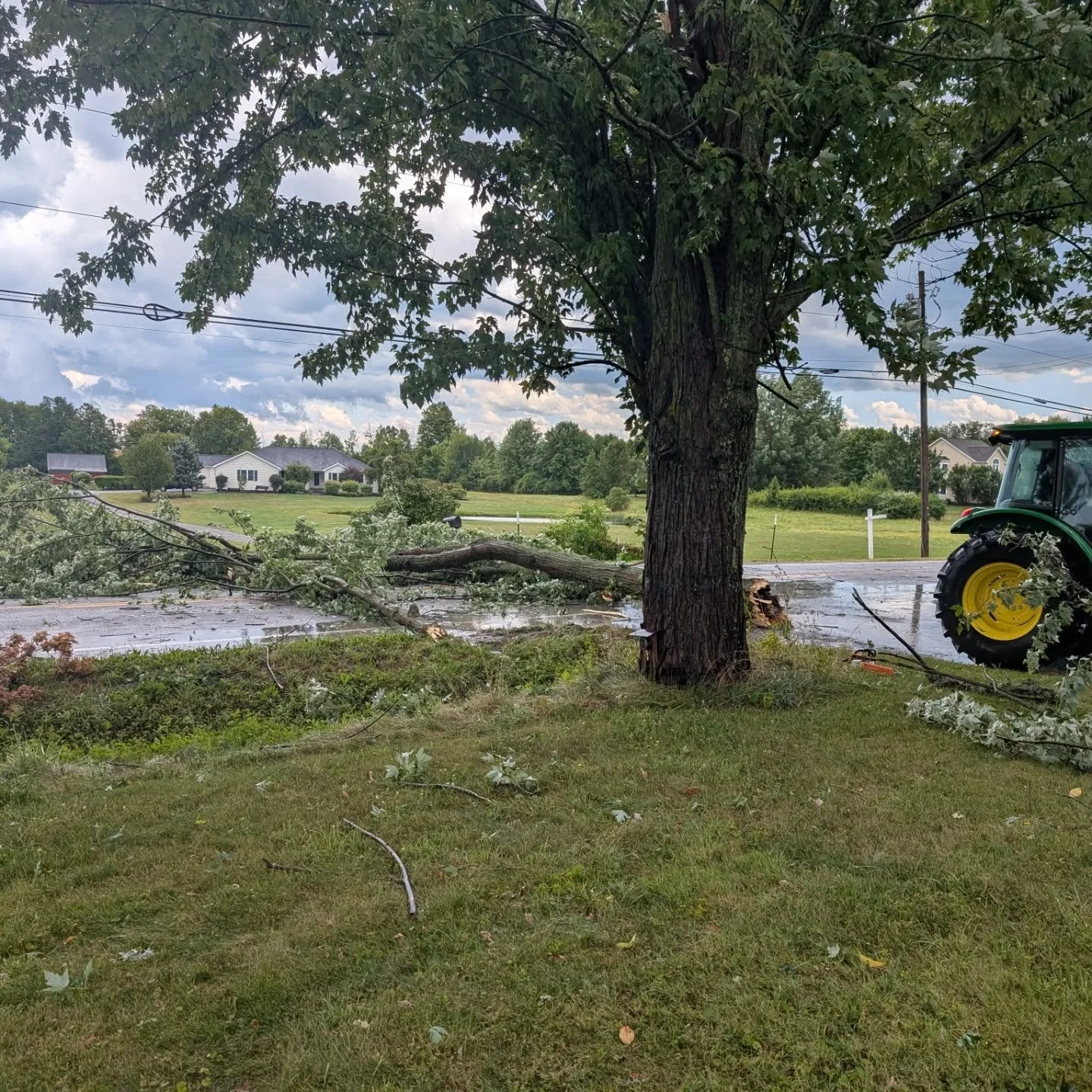 This is what we get for trying to take a slow Sunday (also known as skeleton Sundays). A microburst (if not more but let's not start rumours) hit without warning. We have a lot of trees down but no animals or structures were damaged, including tomato