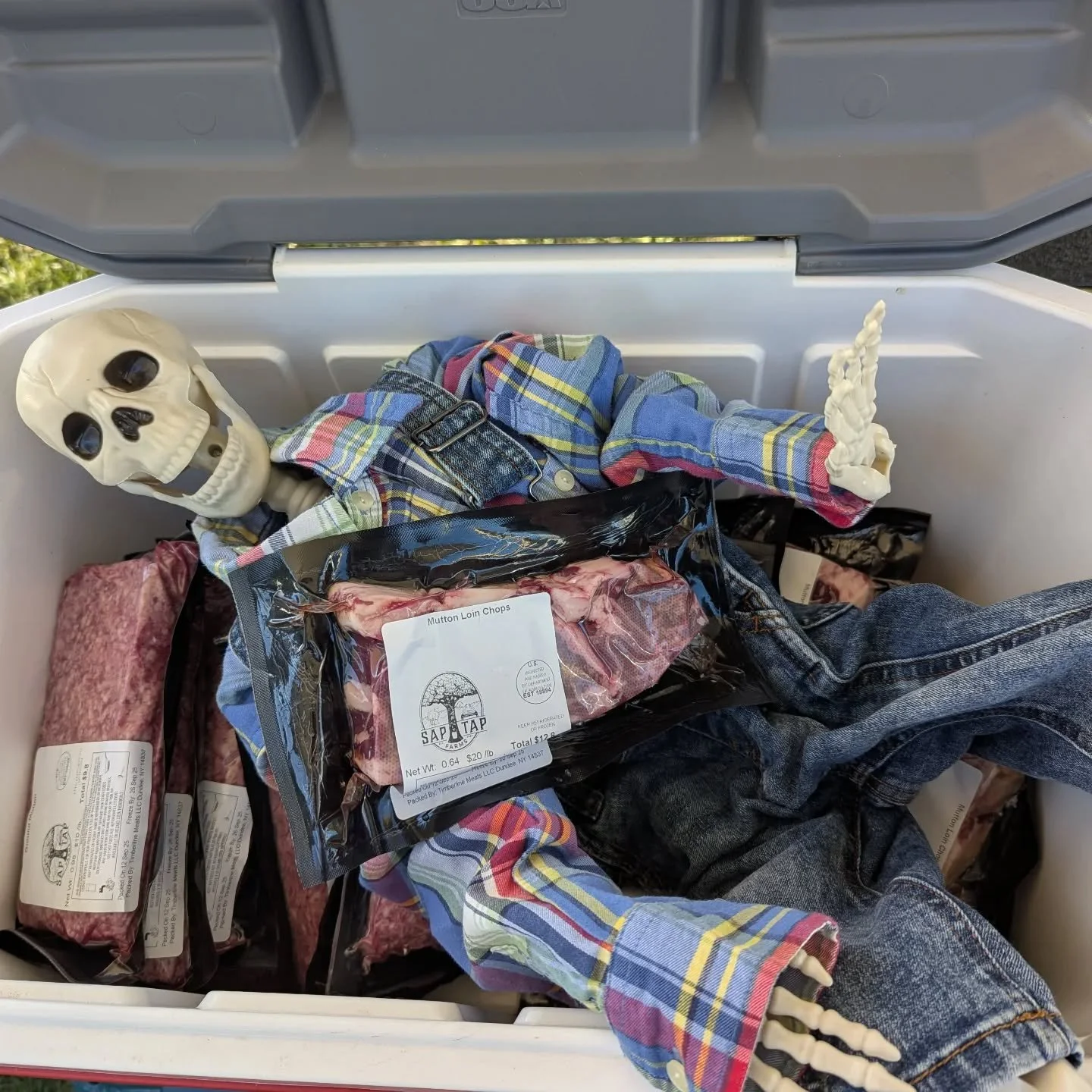 Lamb so tender it's just falling off the bone!  Get yours today, it's scary good!

@genevafarmersmkt
#lamb #fredtheskeleton #geneva #genevafarmersmarket #flx #flxfarmers #scary #halloween #halloweeniscoming