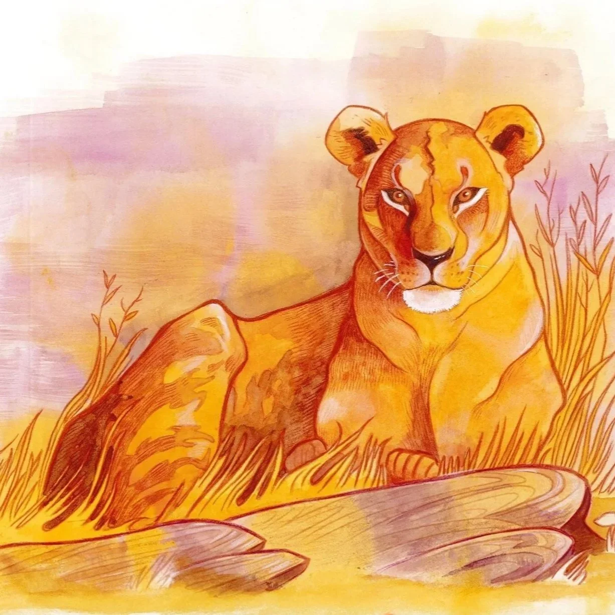 Watercolour Illustration