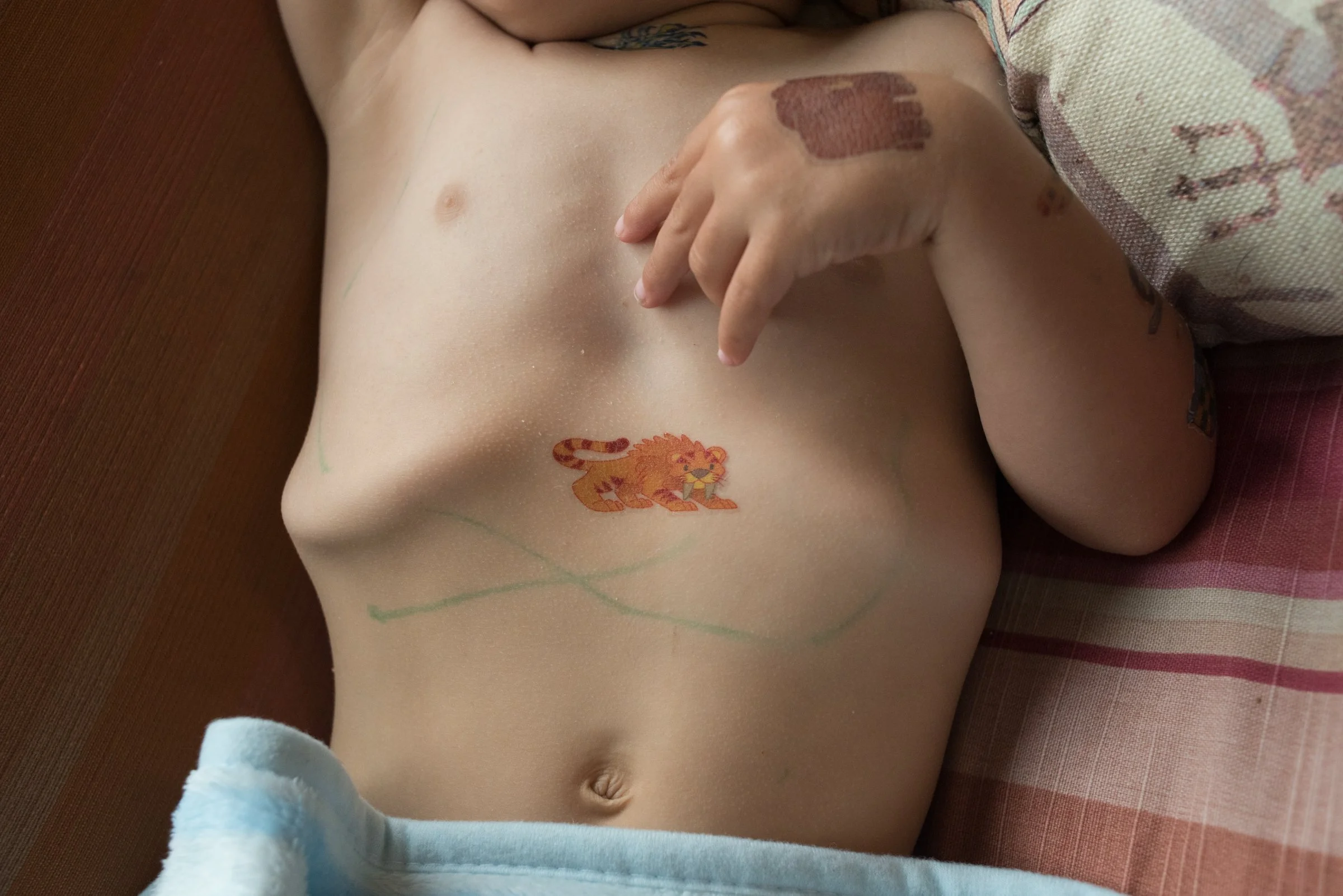 Family Memory, Nostalgia and Legacy; Veronicas Fence and Roses