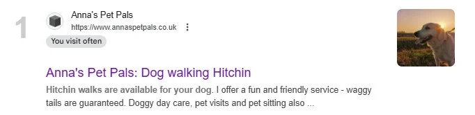 A screenshot of a website featuring as number 1 in organic search results