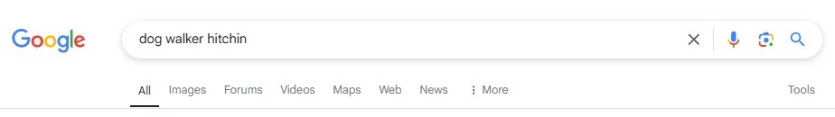 A screenshot of a Google search bar with the search term 'dog walker Hitchin'