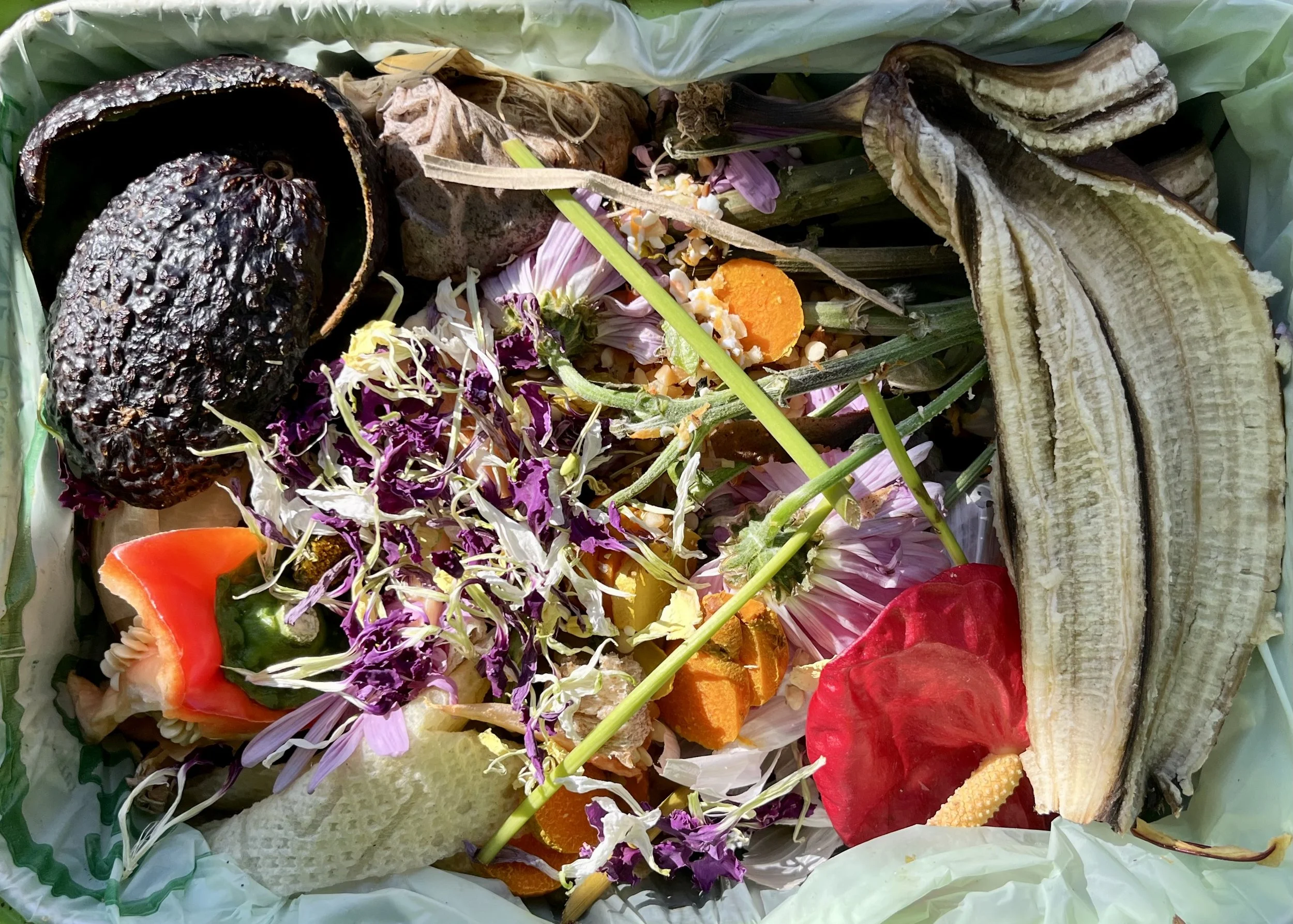  Series "Compost Art", from 2024
 - ongoing
