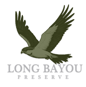 Long Bayou Preserve 