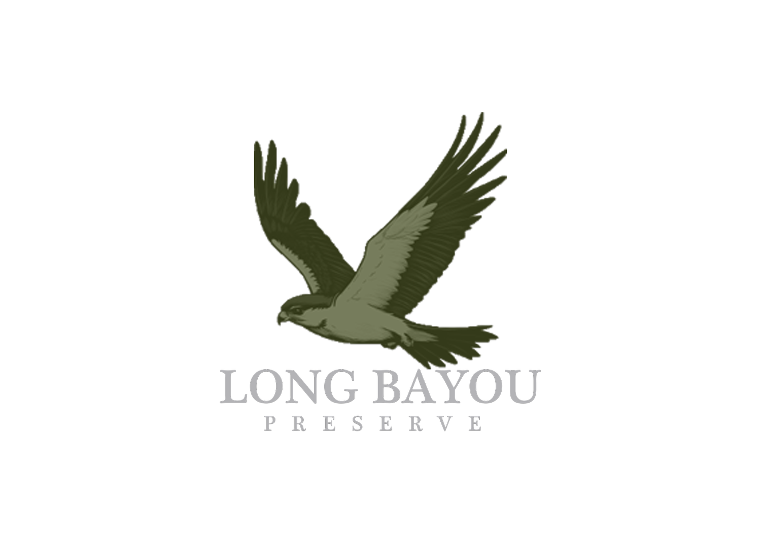 Long Bayou Preserve 