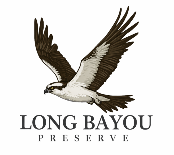 Long Bayou Preserve 