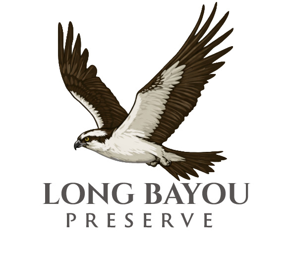Long Bayou Preserve 