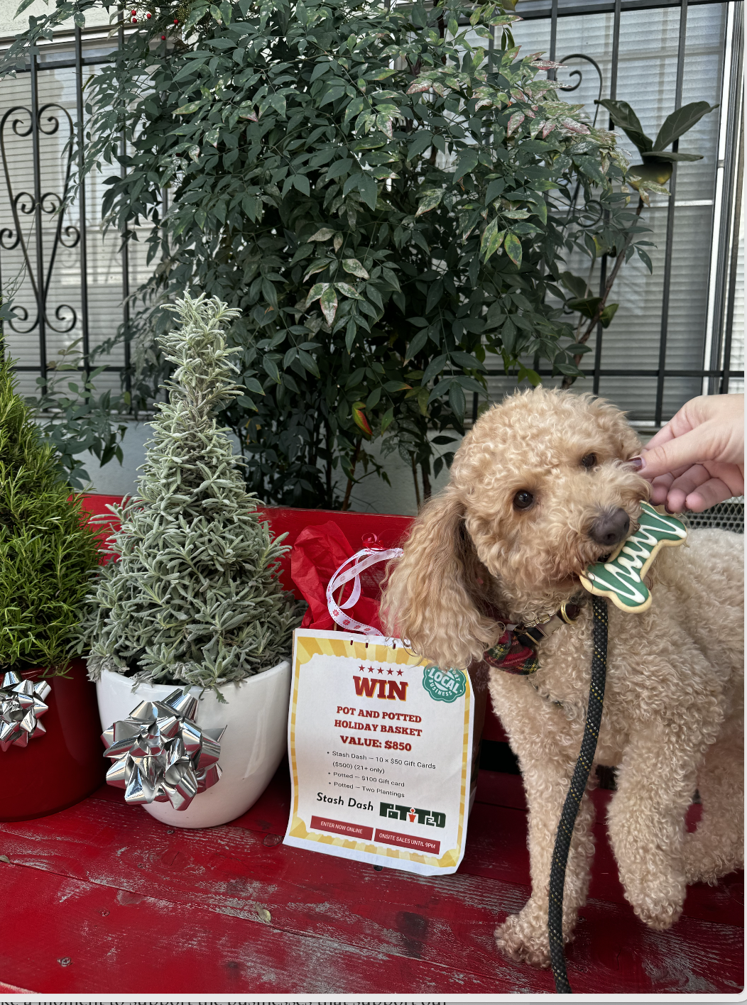 Screen Shot 2026-01-15 at 6.26.38 PM.png