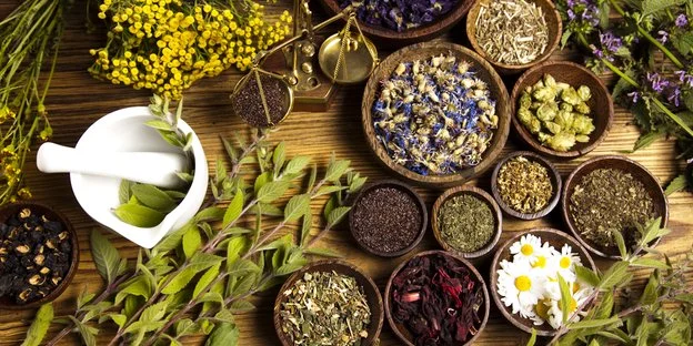 Intro to Herbalism