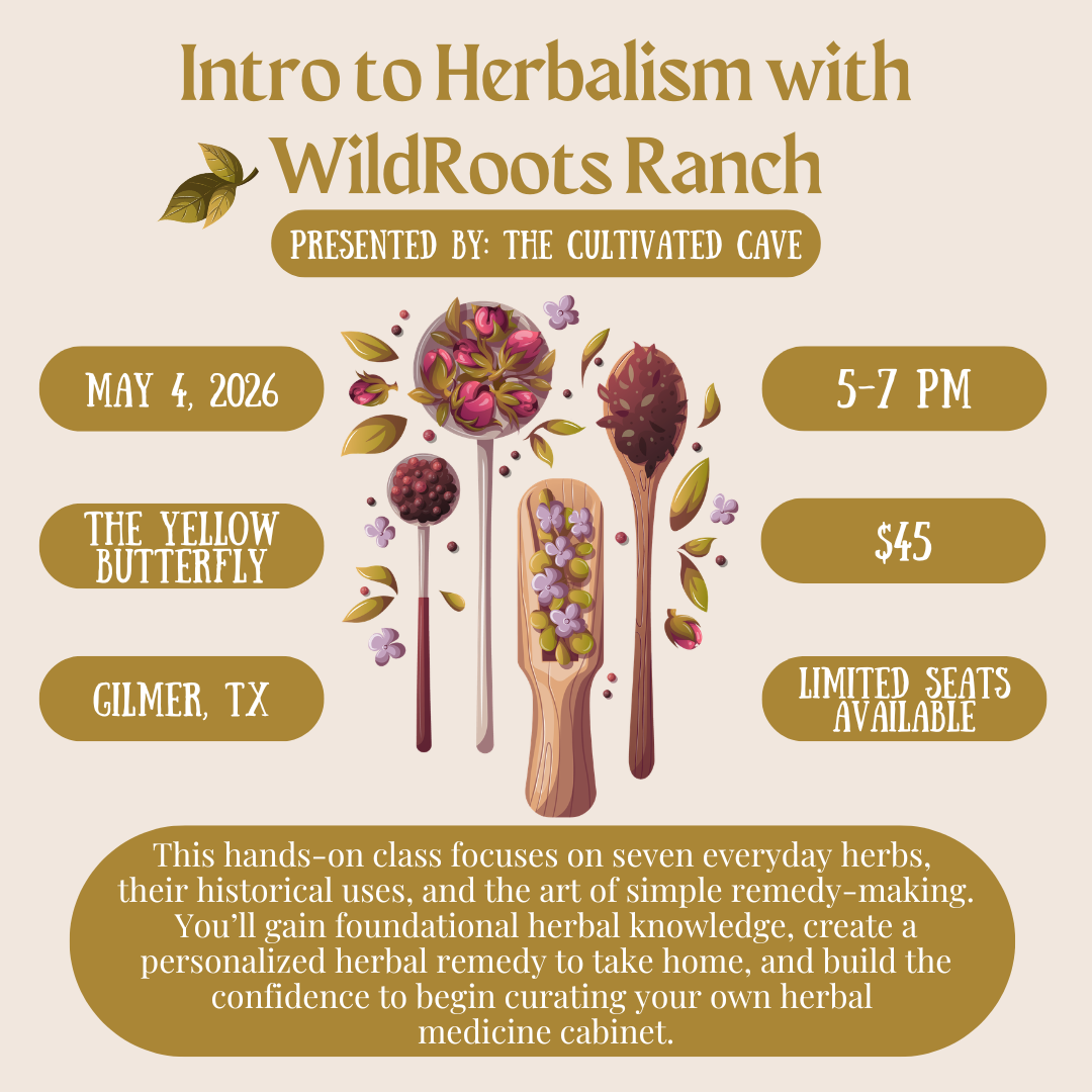 Intro to Herbalism - Kitchen Herbs