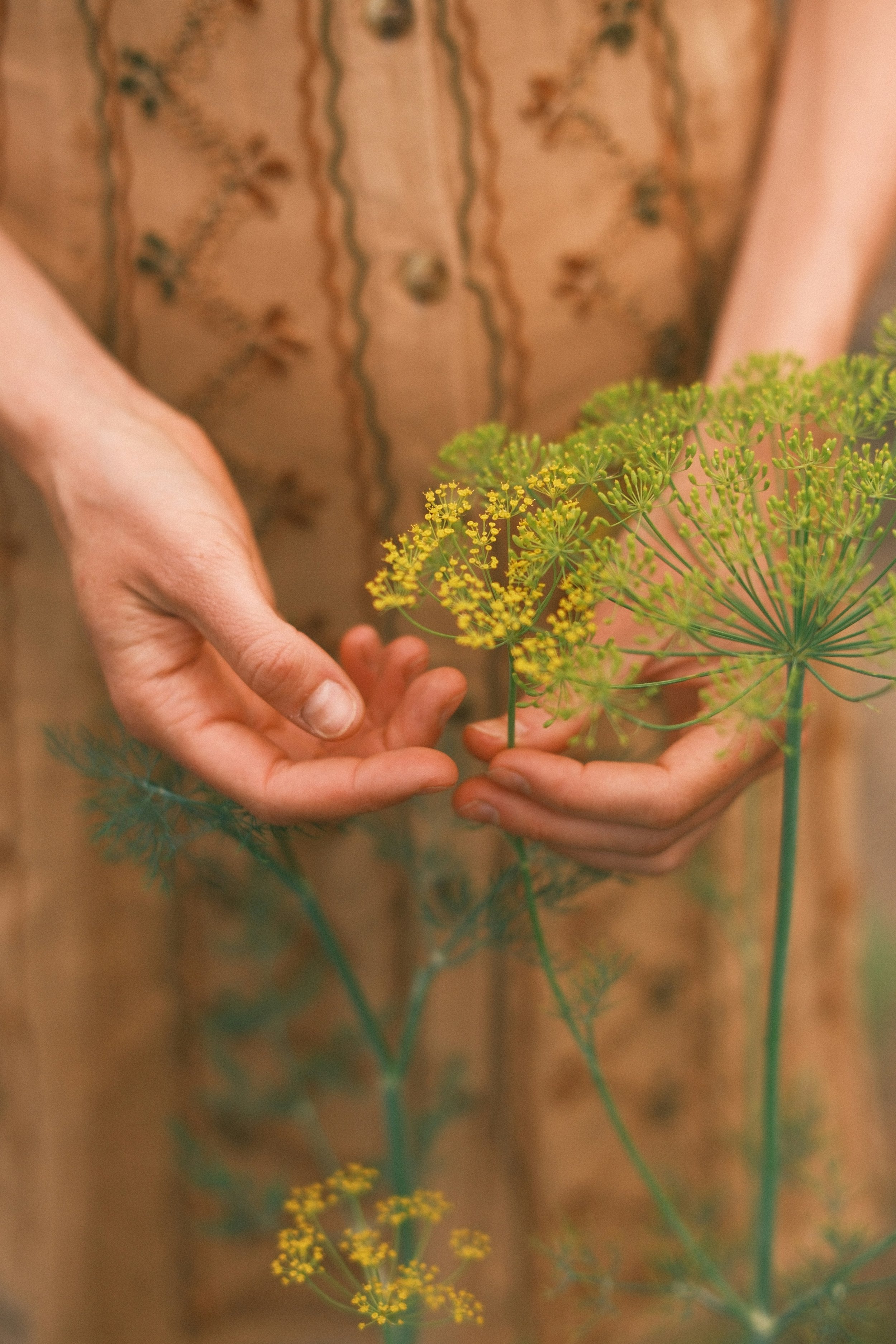Herbal Support and Emotional Wellness for Perimenopause and Menopause