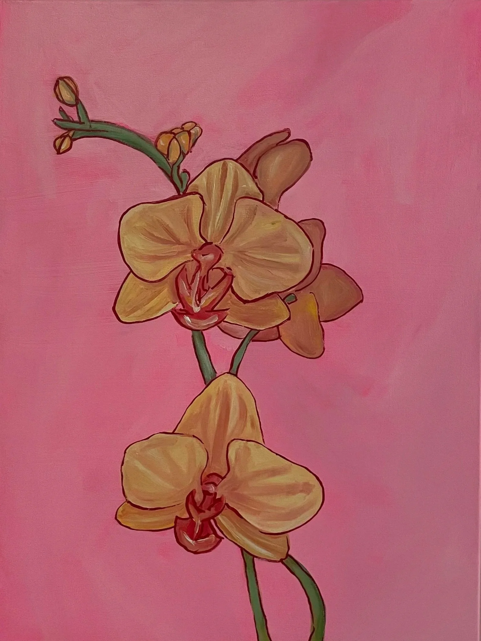 Orchids 3