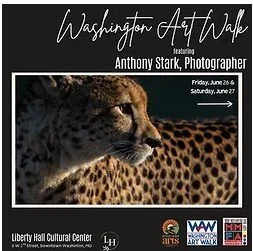 Washington Art Walk