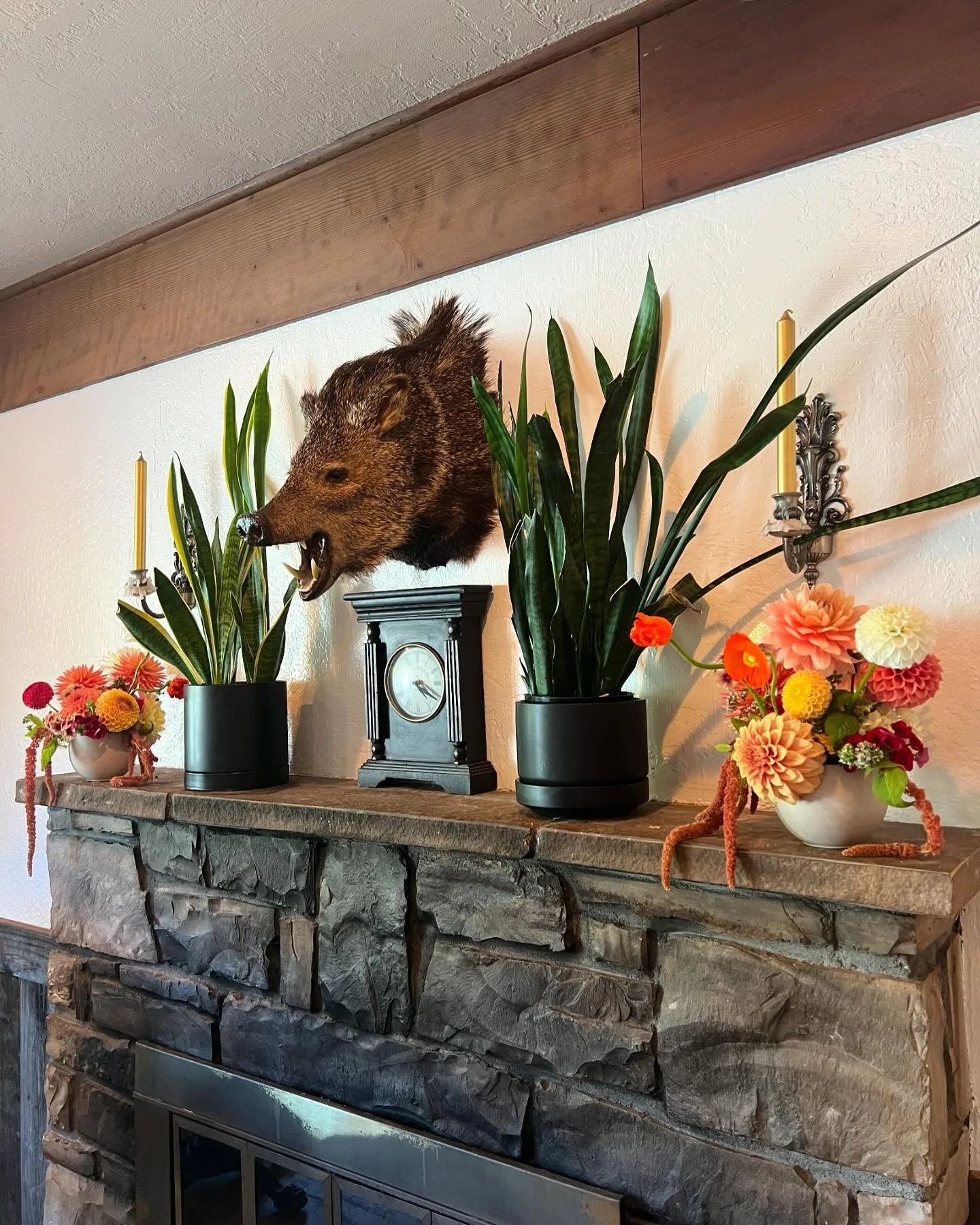 Weddings @homesoquel are our fav.

The bride + groom wanted to lean into farm-to-table with the touches of fresh fruit. Nerding out on the theme we also incorporated thornless raspberry and oregano. Although our small farm barely contributed to the a