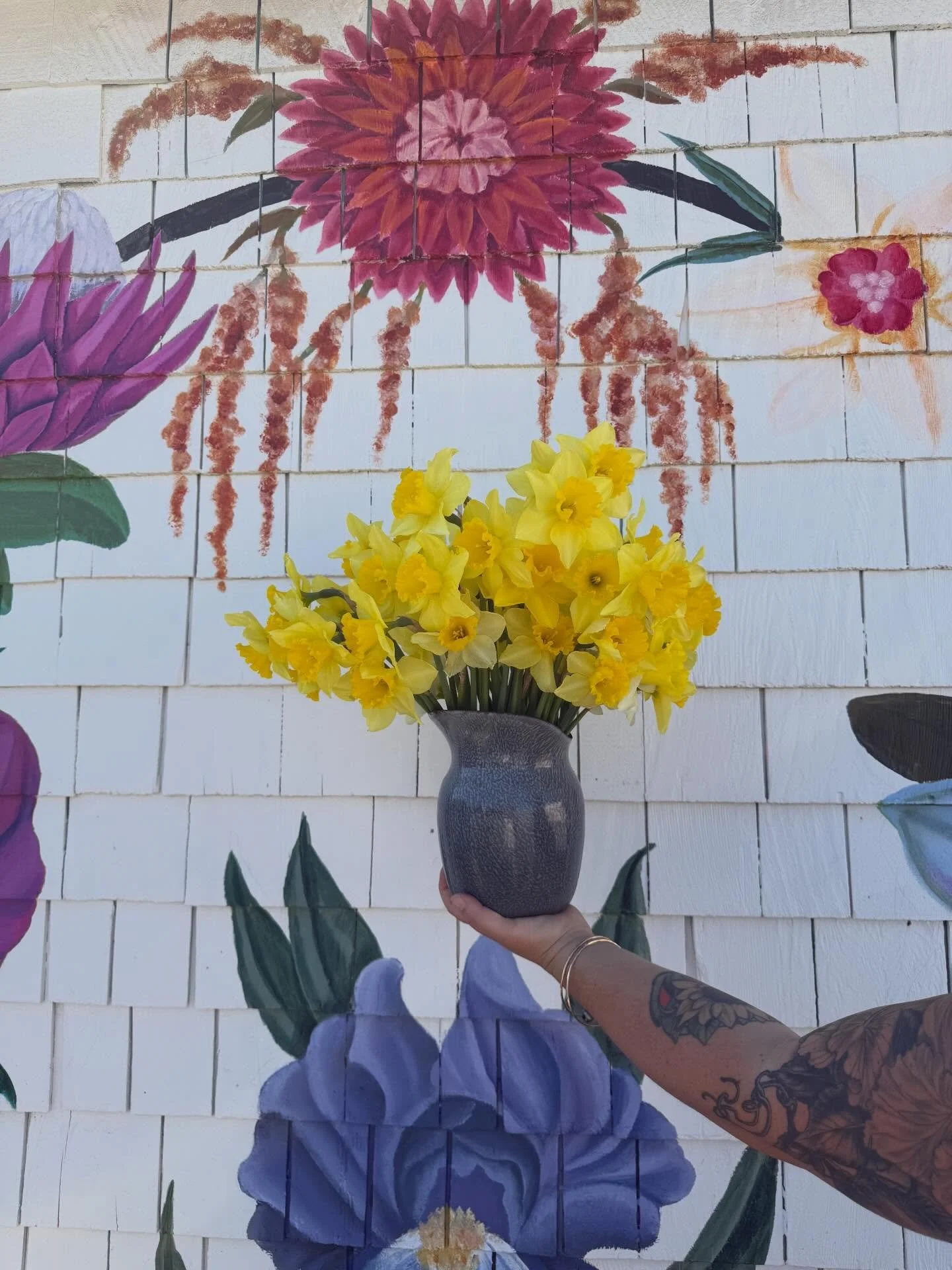 Spring has sprung over at the Shack!