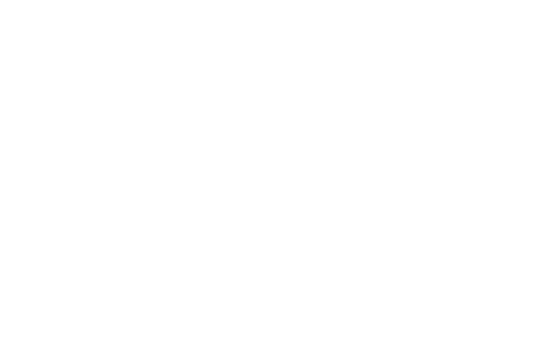 CVS.png