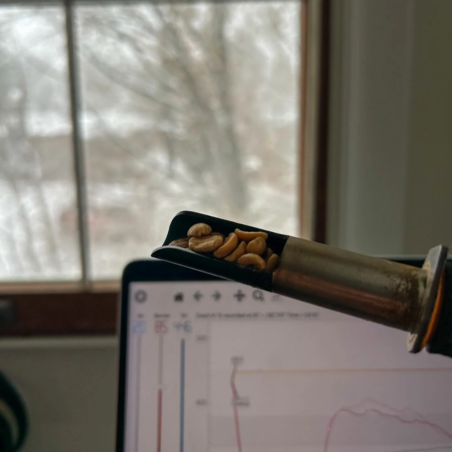 Andrew&rsquo;s been busy roasting every day to keep up with all the holiday orders ☕️🎄

Still looking for the perfect gift for your boss, a gift exchange, a stocking stuffer, or even for yourself this holiday season? Now&rsquo;s the time to get your