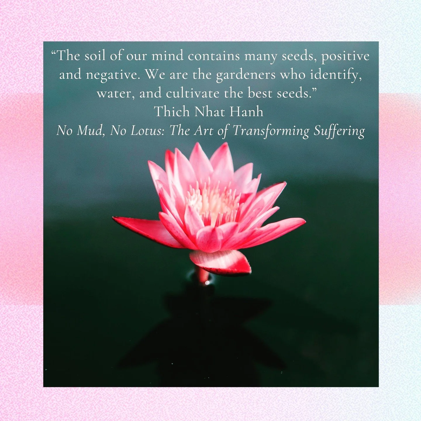 We choose to put our attention on different topics and thoughts throughout the day. Be discerning about which you amplify and which you release.