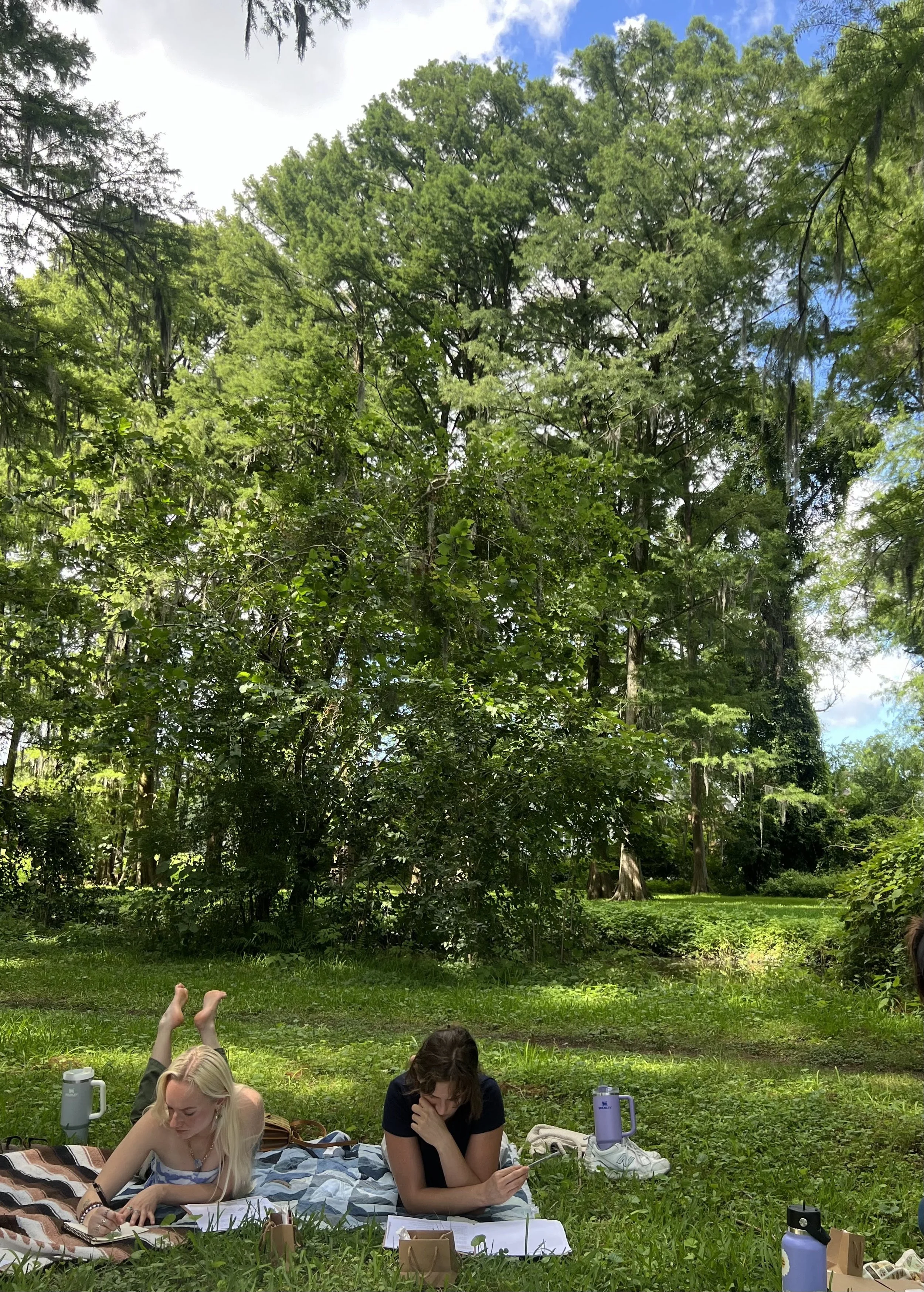 Two women sitting on a blanket in a lush green park, with trees and cloudy sky overhead. One woman is writing in a notebook, while the other is looking at her phone. There are water bottles and paper bags around them.