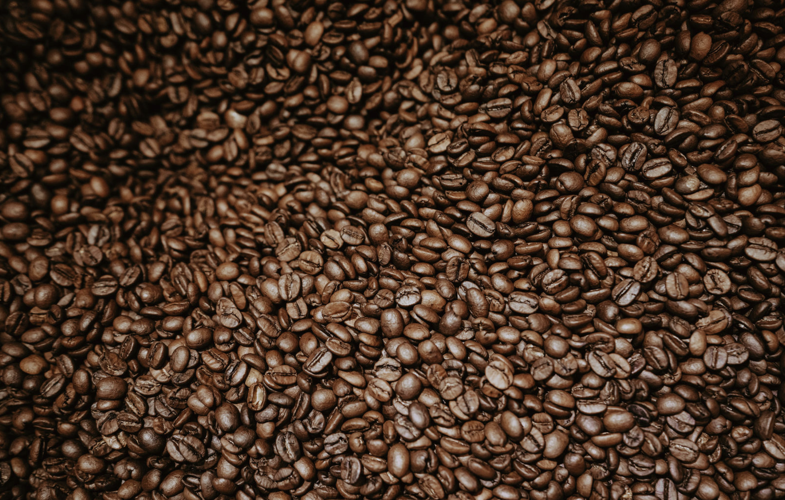 Screenshot 2026-03-10 at 7.09.16 PM.png