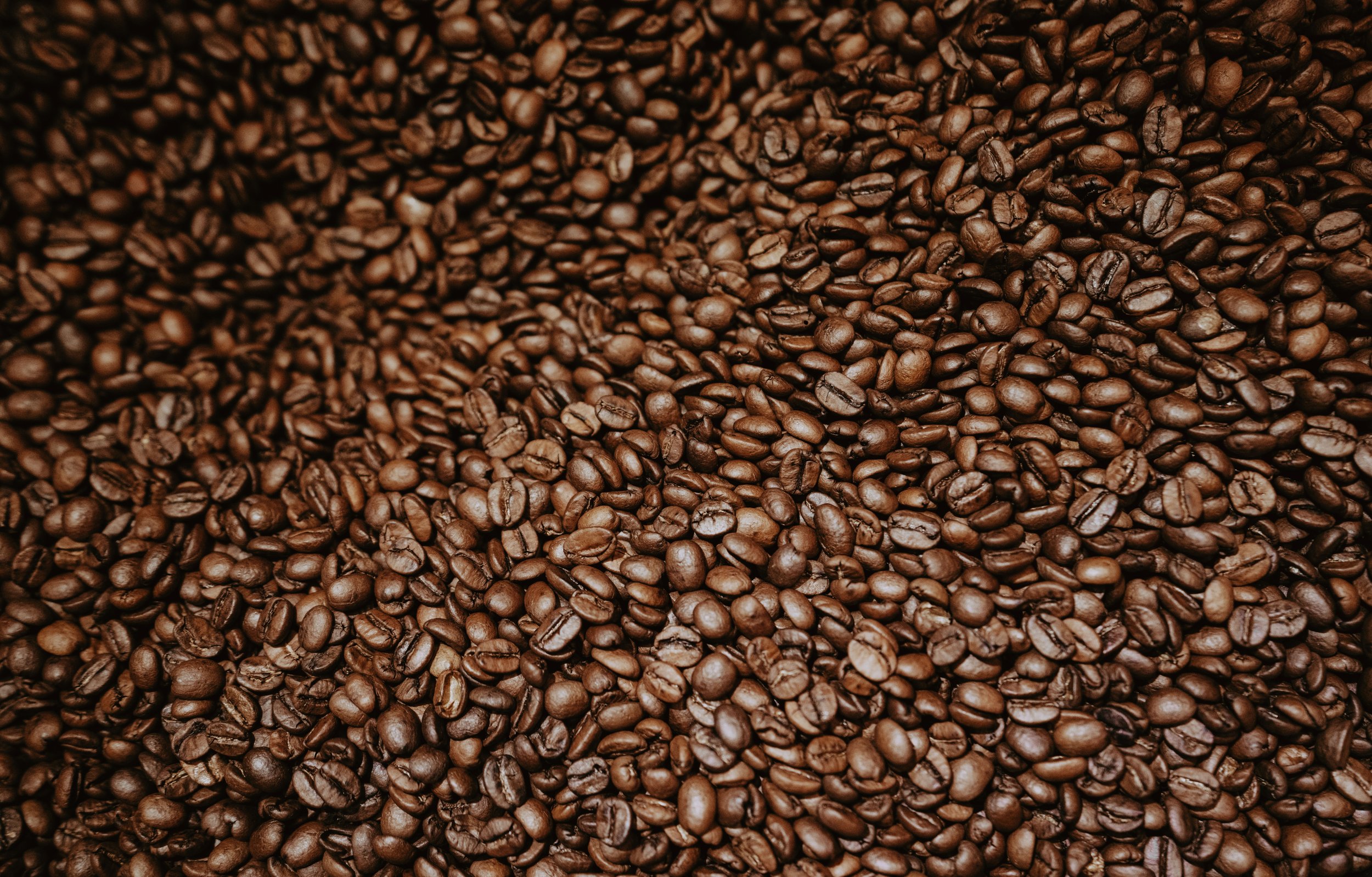 0FF3DF70-3C0B-4863-B8ED-85D21FE0DB95 (1).jpg