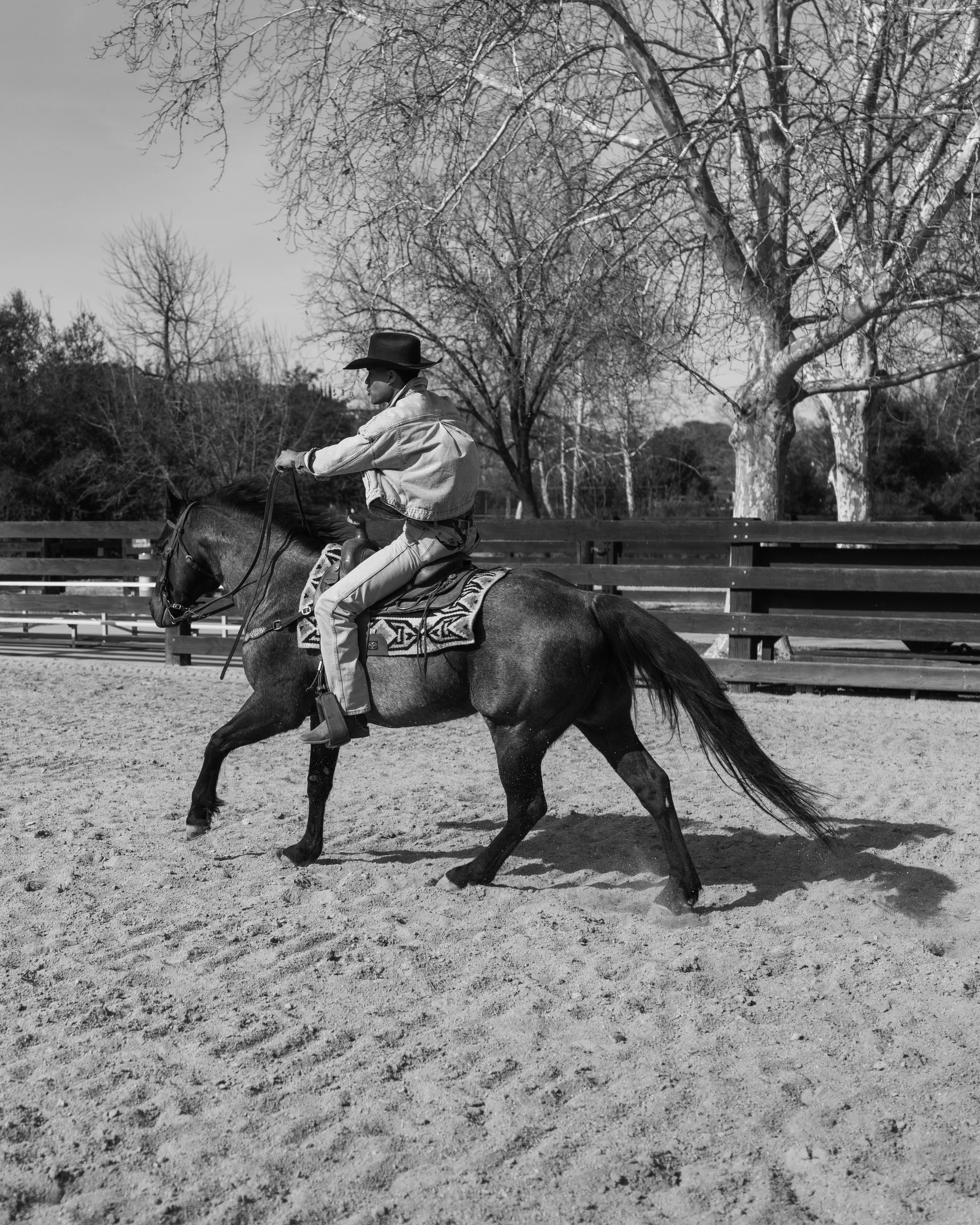 A person riding a horse in an outdoor arena with trees and a wooden fence in the background