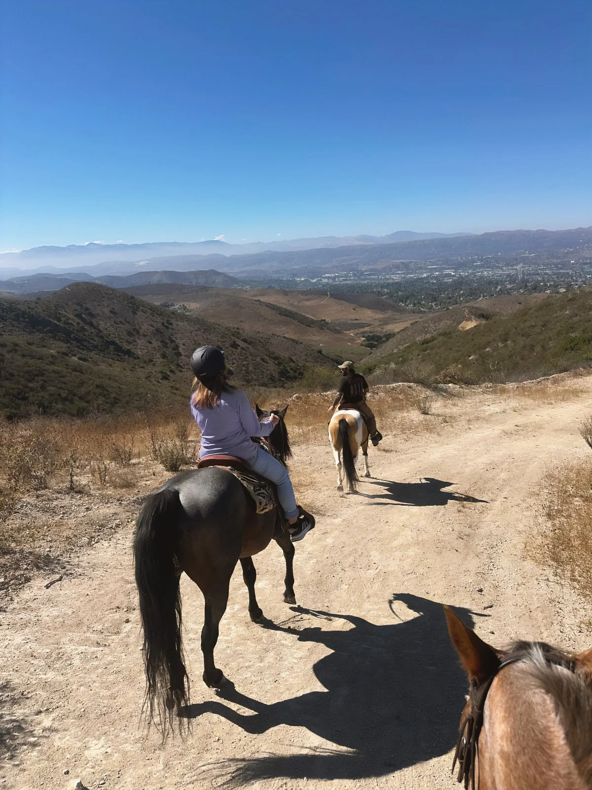 Mom_Me_Horse_v4 2.jpg