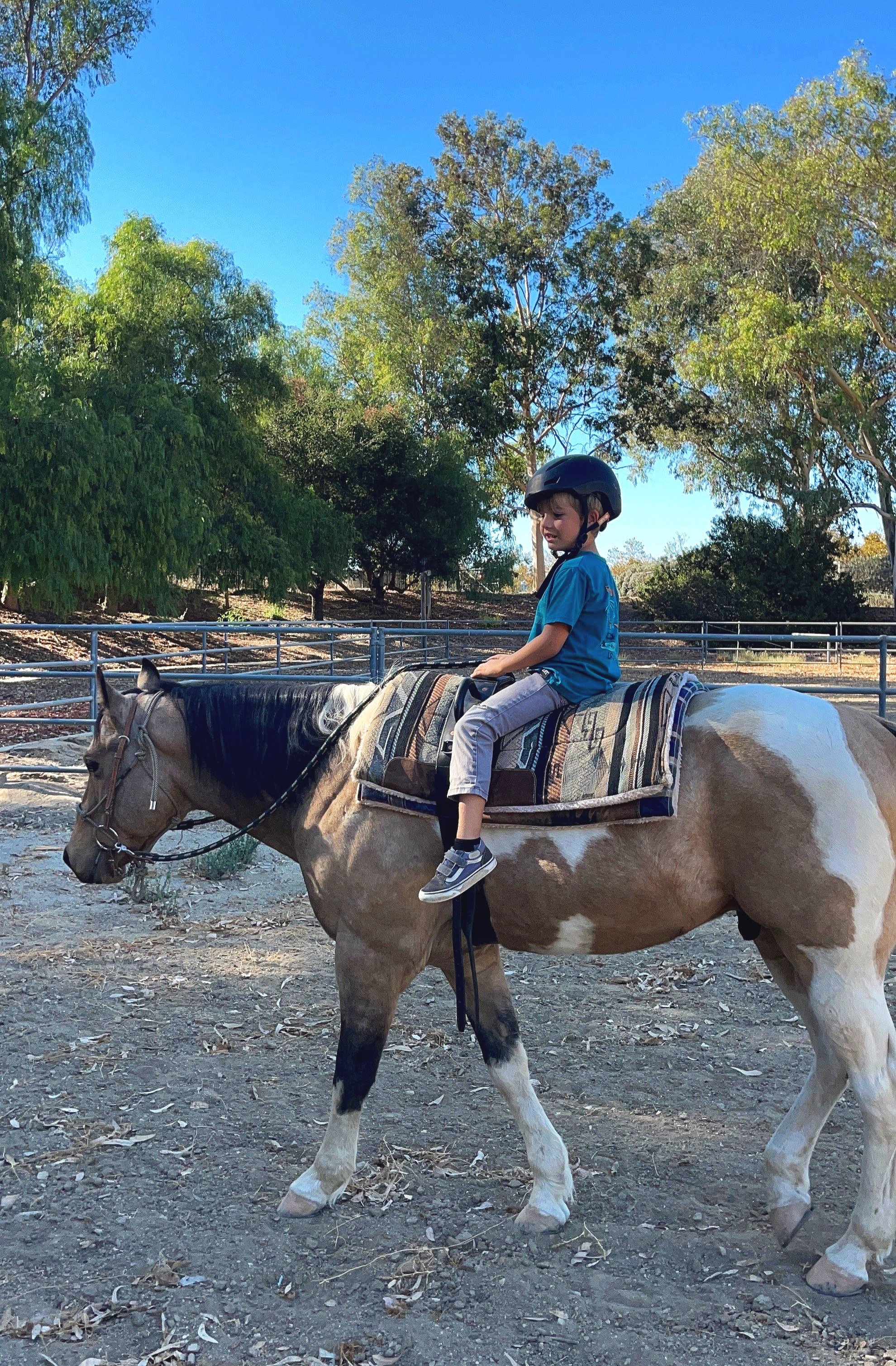Rocky Creek Saddle Club Riding Lessons
