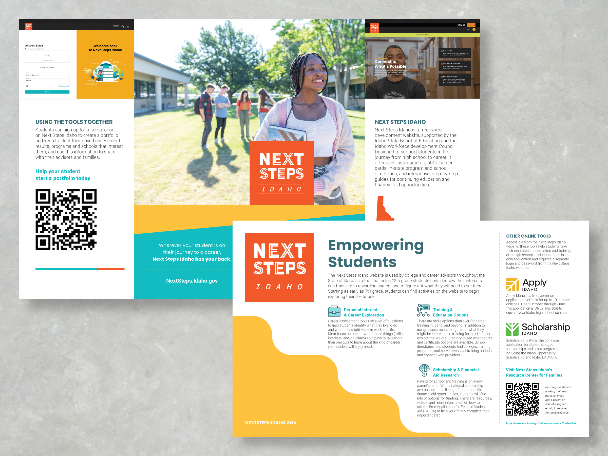 Next Steps Idaho Gatefold Brochure