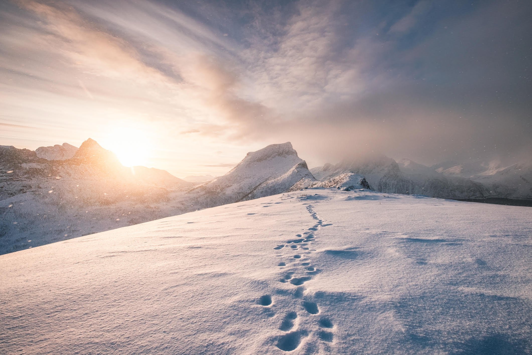 Brilliant Traces