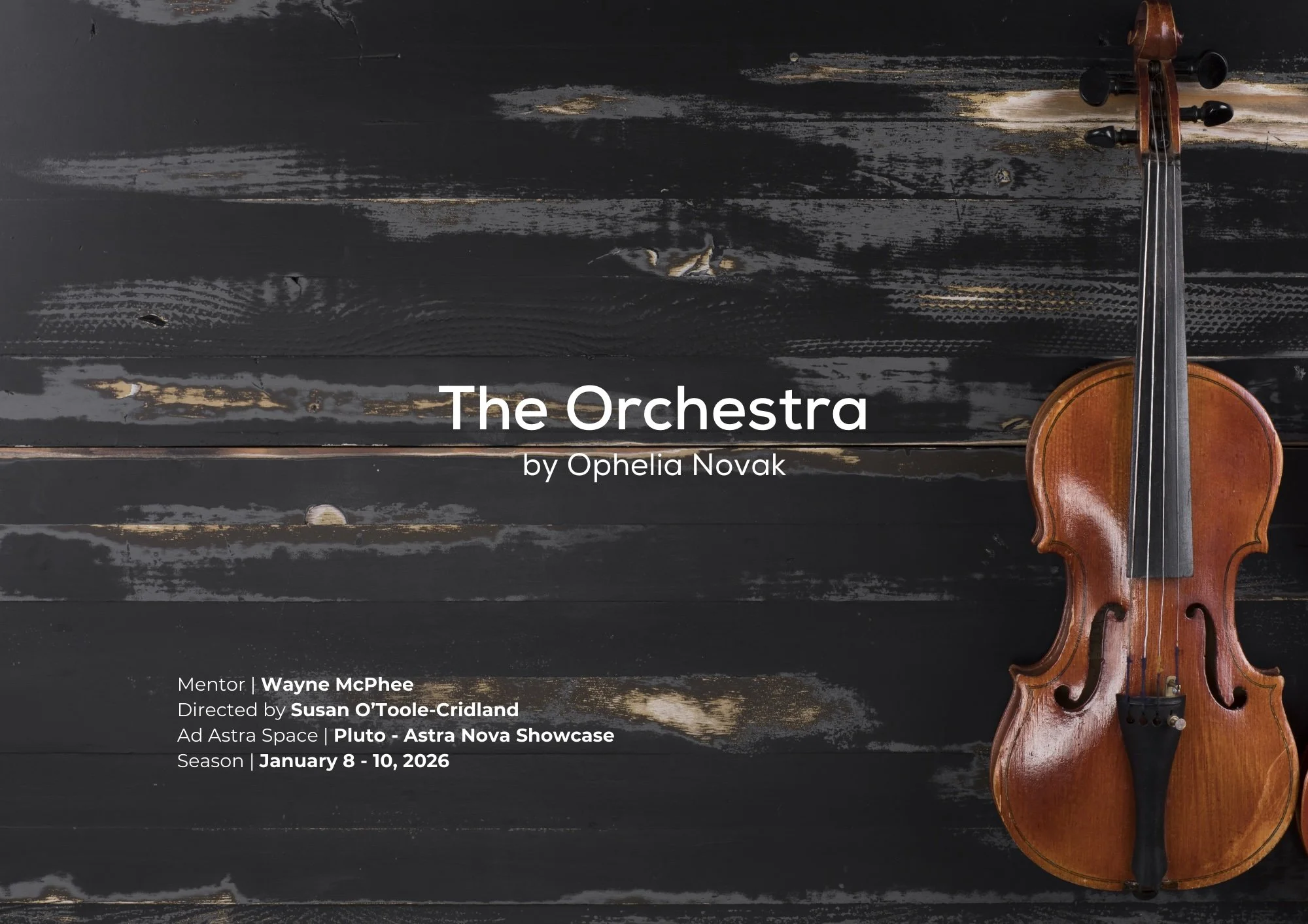 The Orchestra