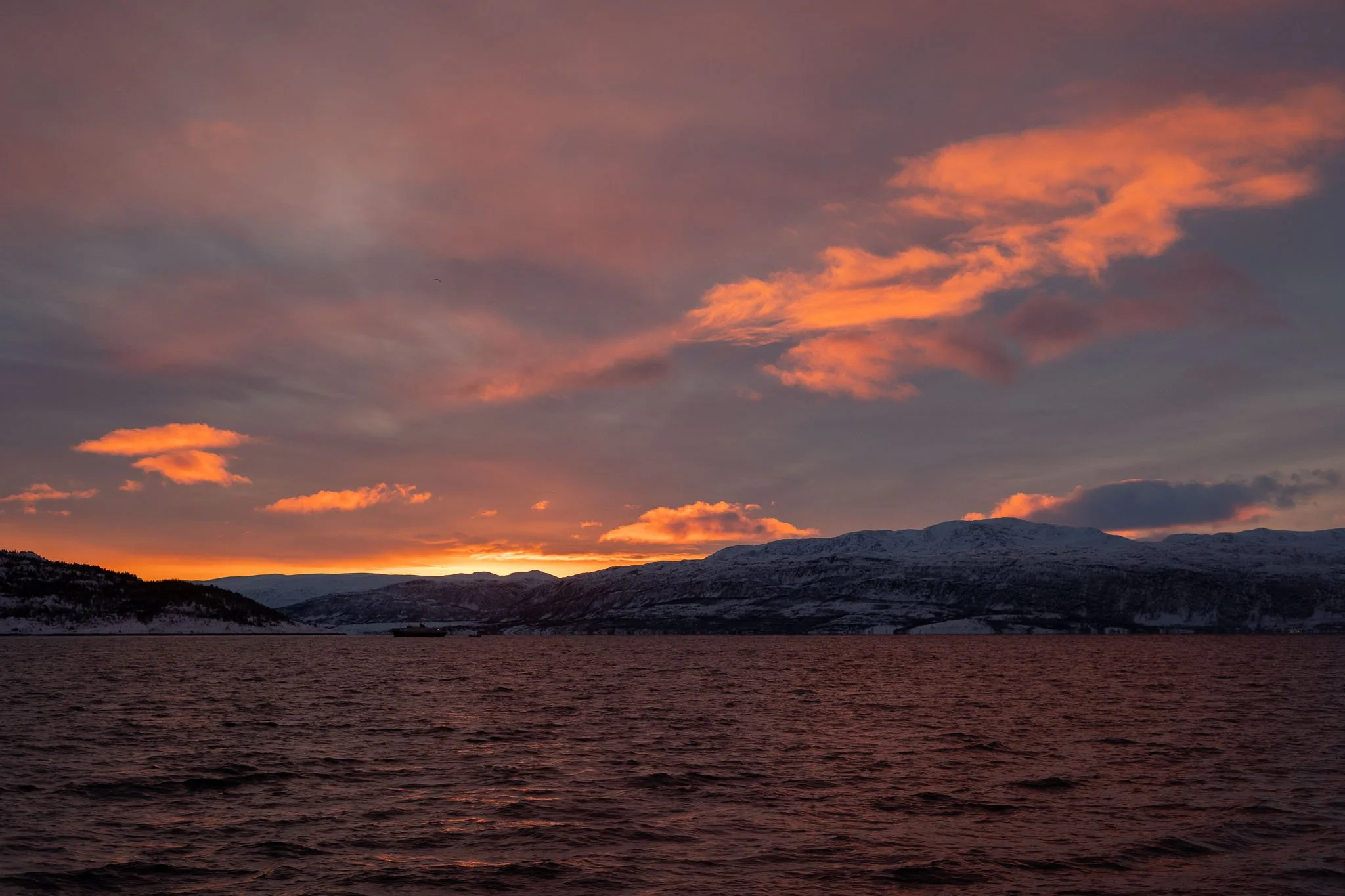 DSC08987.jpg