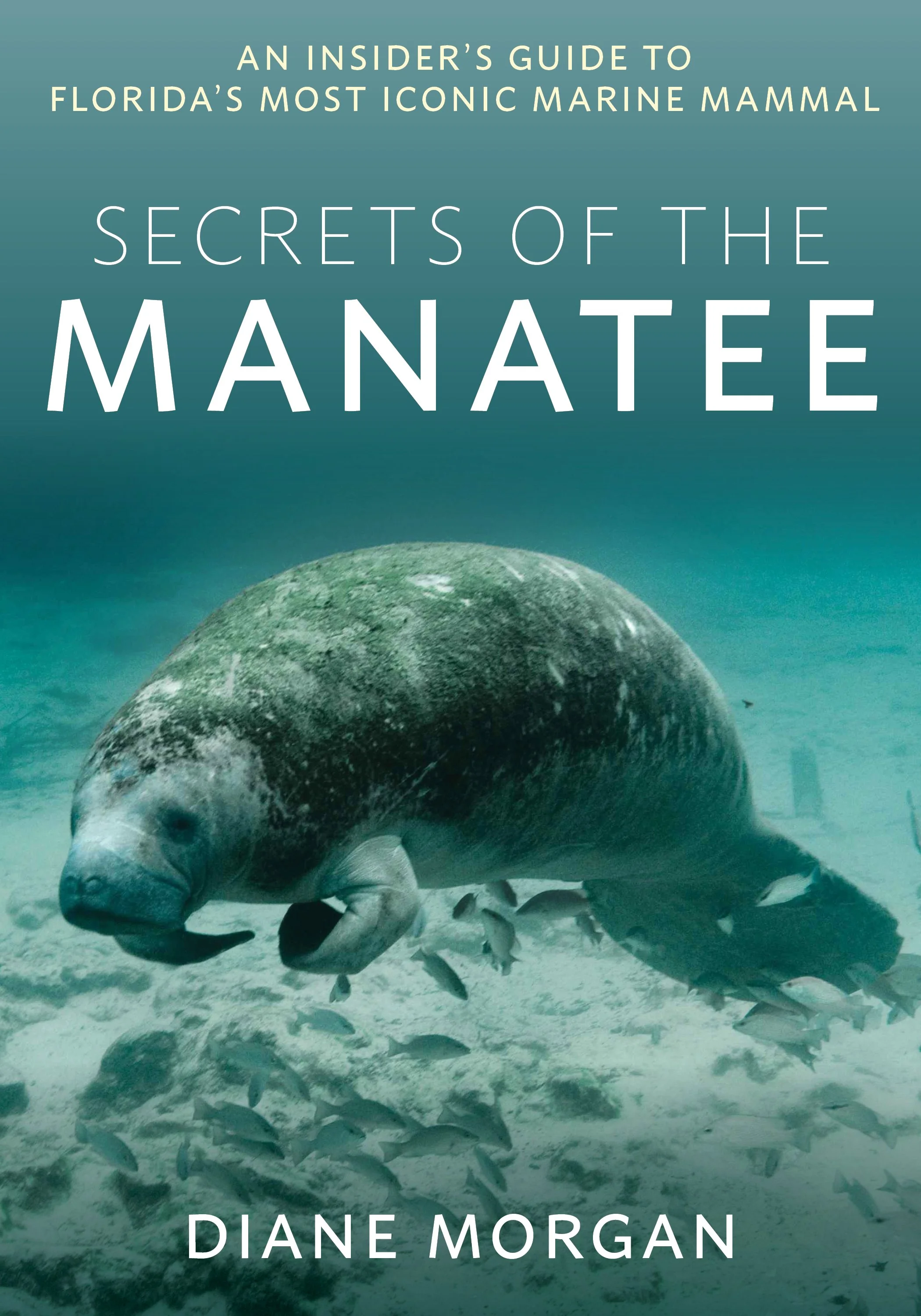 Secrets of the Manatee_PP.jpg