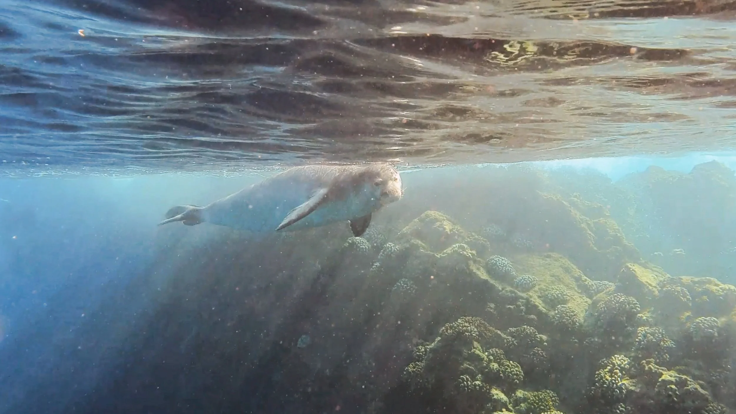 Pu'u Keka'a (Black Rock), Maui