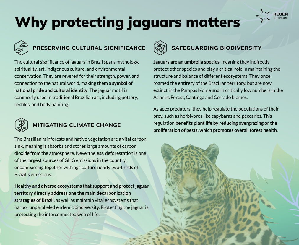 Protecting jaguars.png