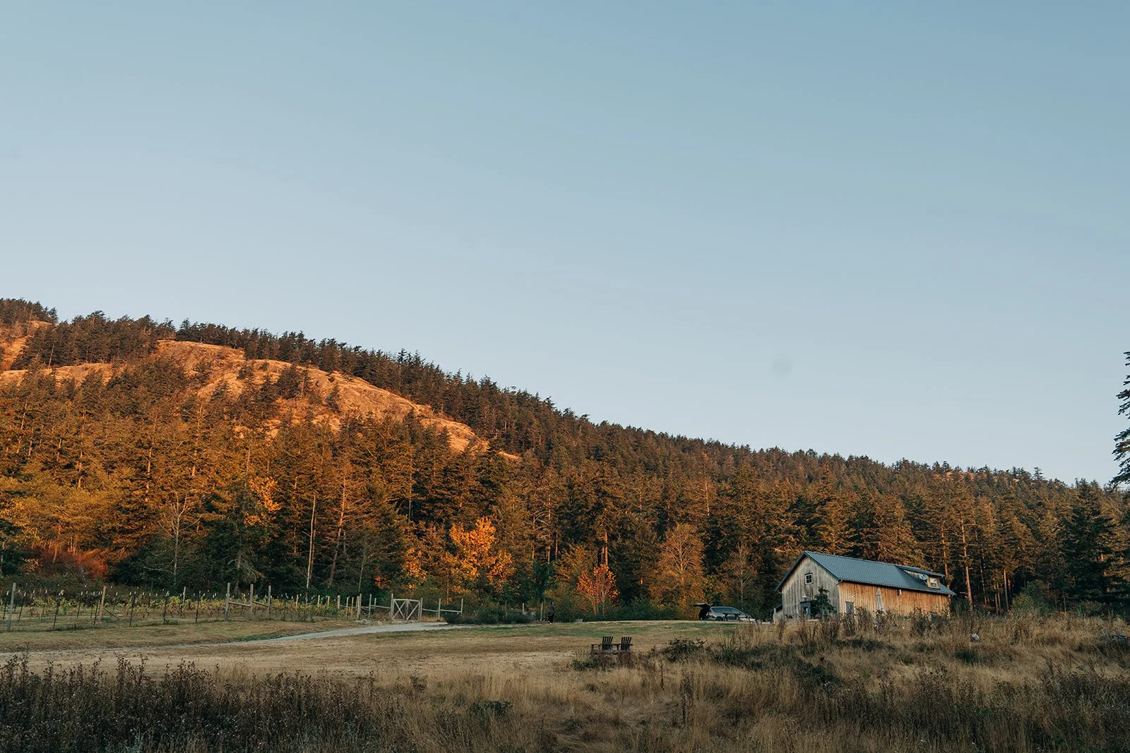 A landscape with a grassy field, an old barn with a metal roof, and a forested hillside in the background under a clear blue sky.