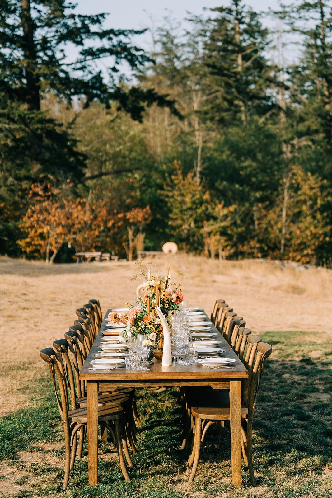 Long outdoor dining table set with floral centerpieces and candles, surrounded by wooden chairs, outdoors in a grassy area with trees.