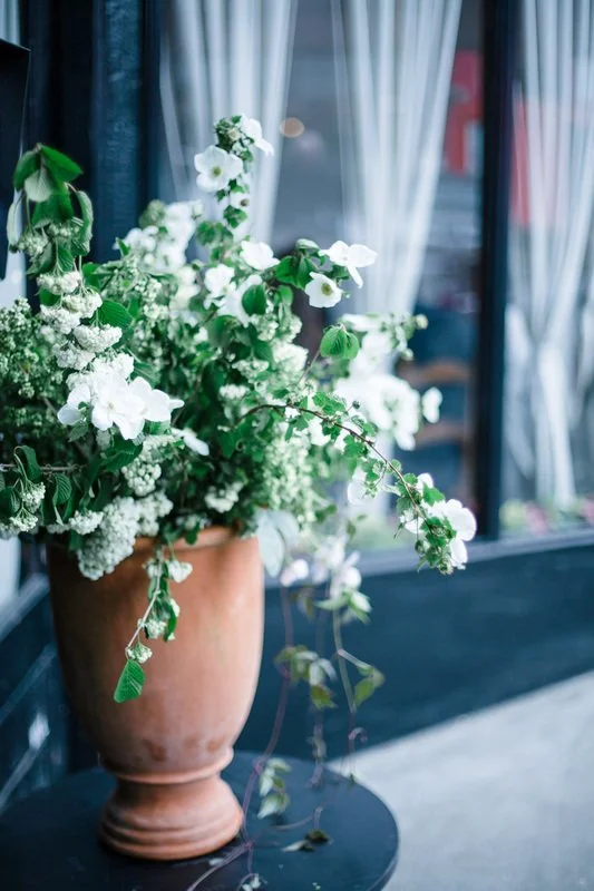 A large clay pot filled with white flowers and green foliage placed on a small round black table near a window with sheer white curtains.