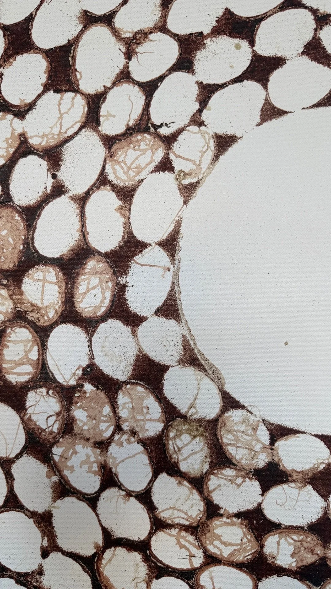 Untitled design 29.JPG