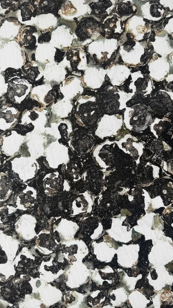 Untitled design 26.JPG