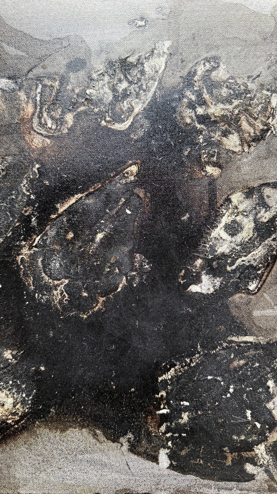 Untitled design 23.JPG