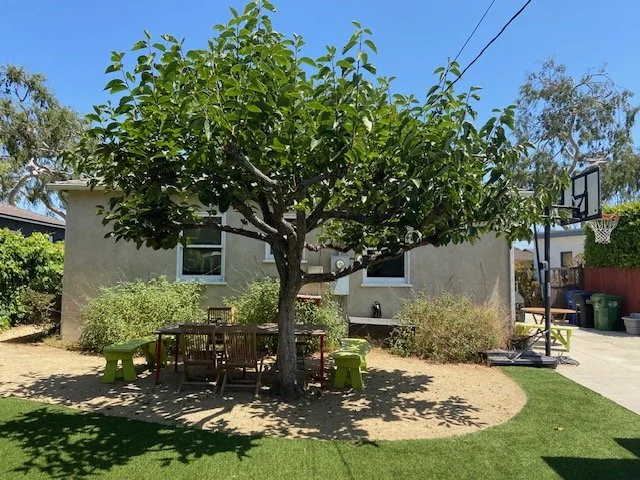 back of house.jpg