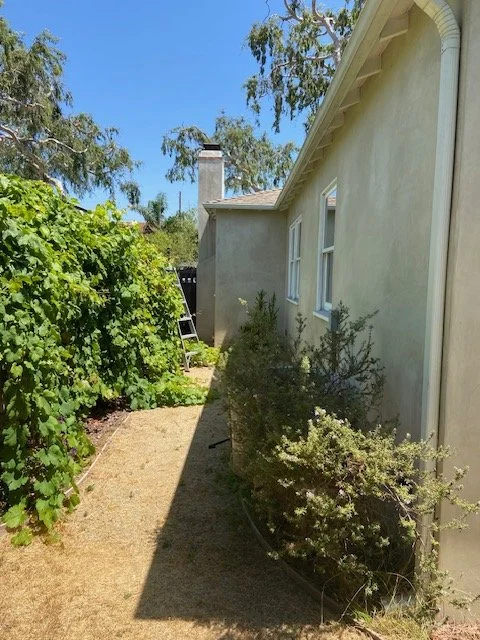 wide sideyard.jpg