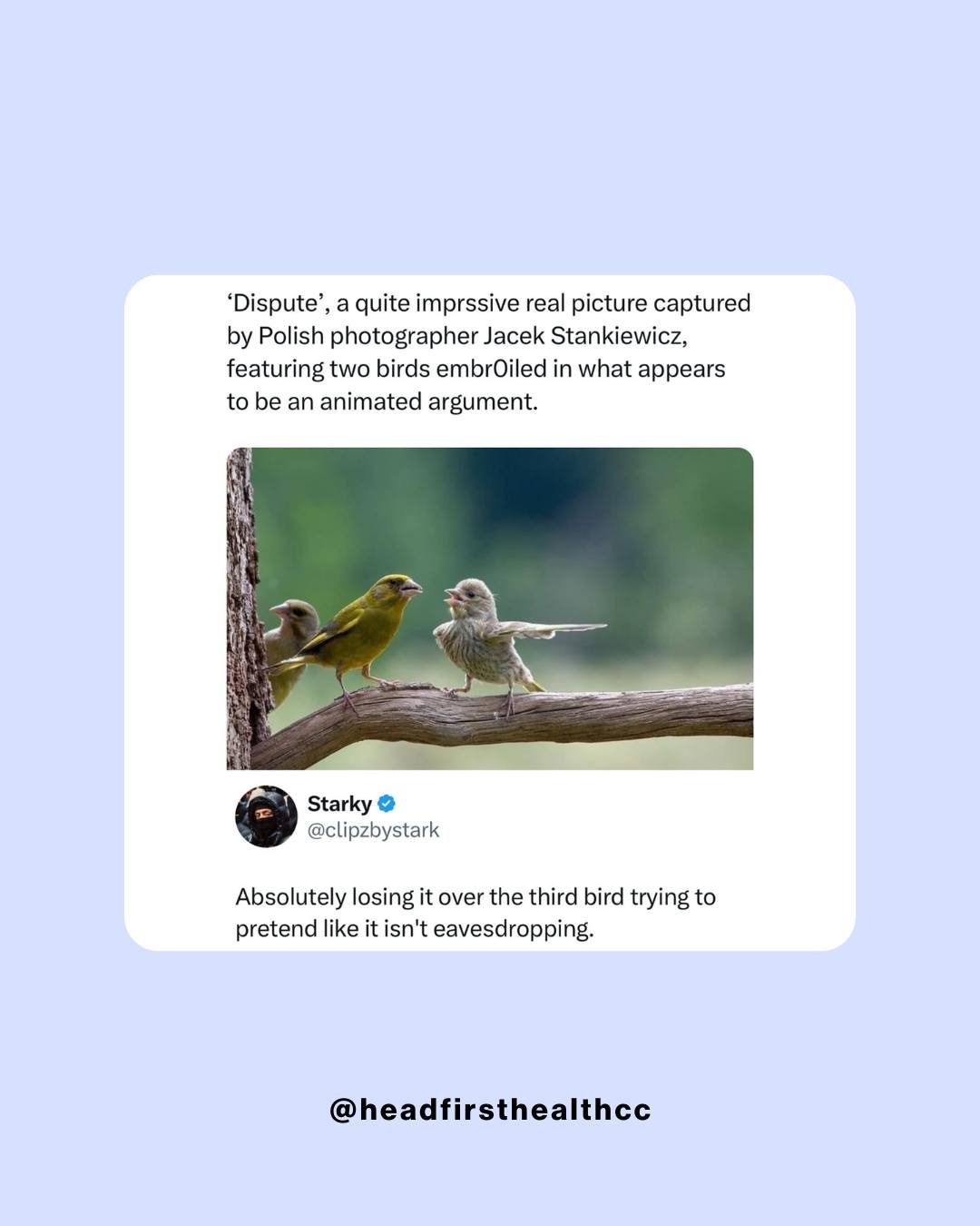 Memes make the internet a bit more bearable&mdash;therapy makes life more bearable. 

 Share your favorite and save for when you need a laugh. 

#MemeMonday #headfirsthealthcc