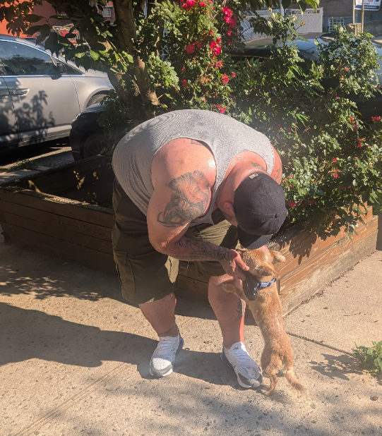 A man in a gray tank top, black cap, and shorts bending down to pet a small brown dog on a sidewalk. There are pink flowers and greenery behind him, and a parked silver car and other vehicles in the background.