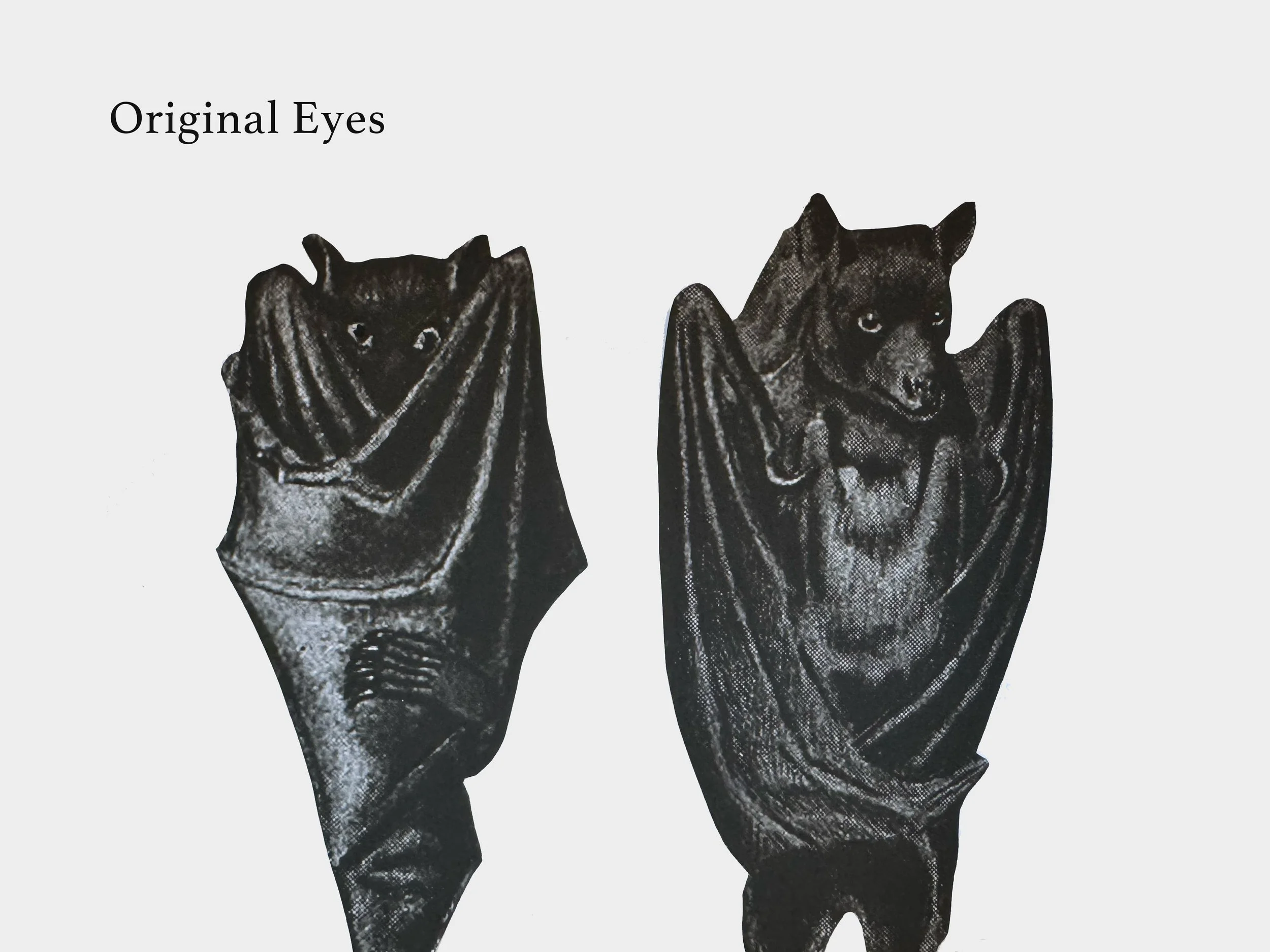 original_eyes.jpg