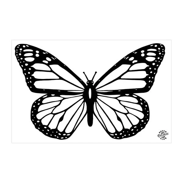 black and white print out of monarch butterfly