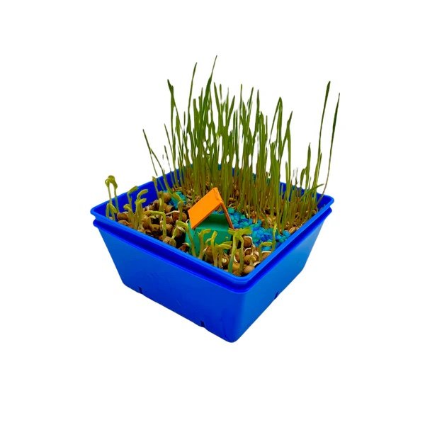 Green Belt Movement finished project, a blue container with grass, blue rocks laid out like a river, and a toy hut